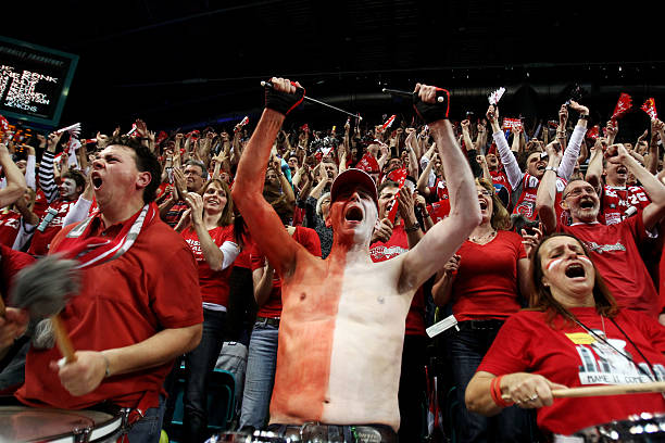 但它所带来 但它所带来